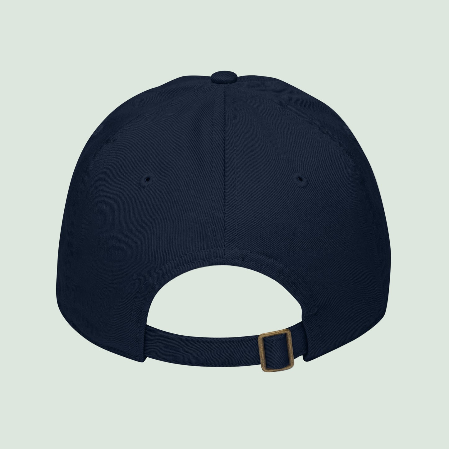 organic-baseball-cap-pacific-back